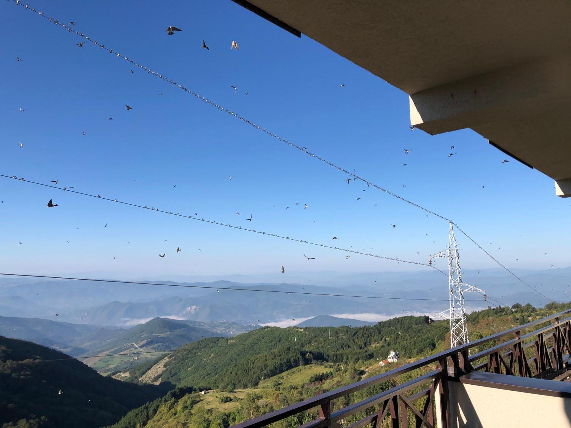 Ferienwohnung Milmari M12 Kopaonik Exterior foto