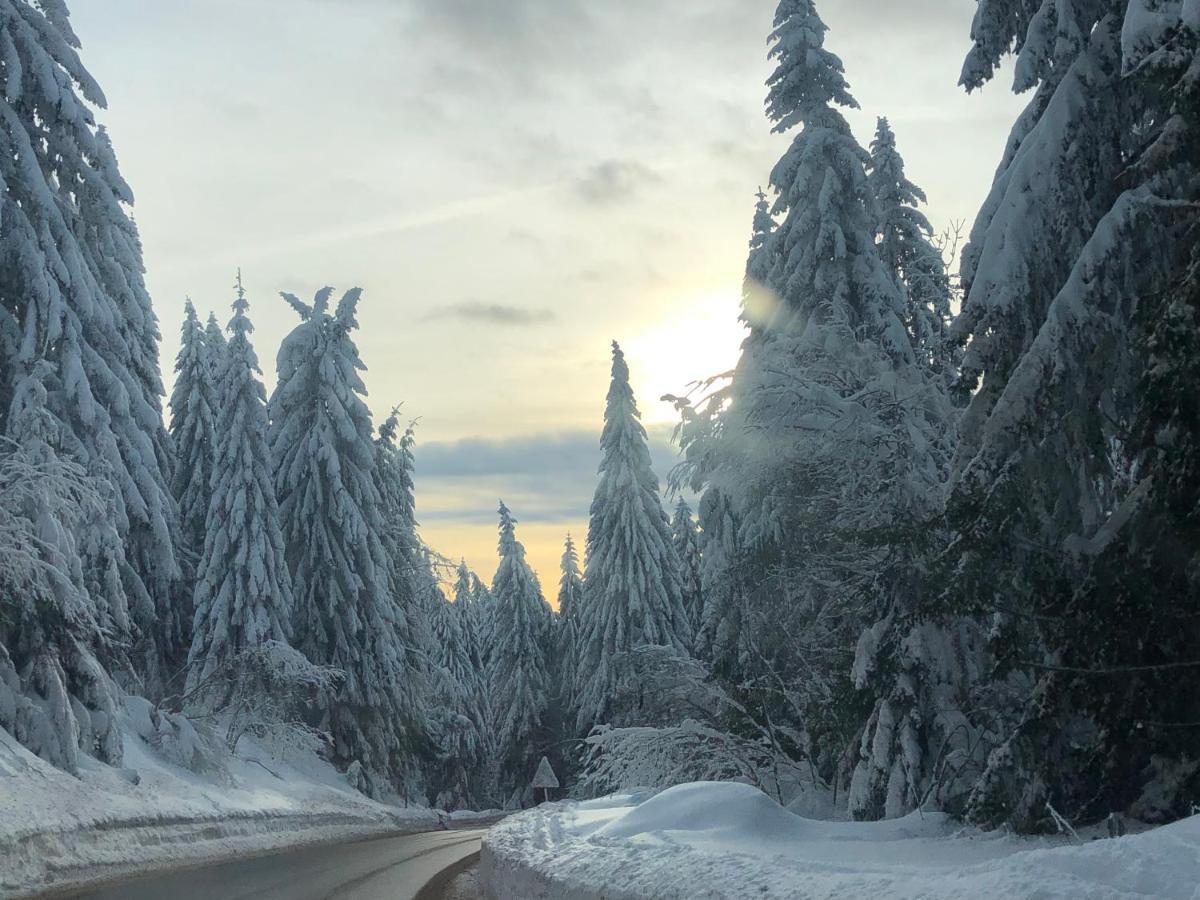Ferienwohnung Milmari M12 Kopaonik Exterior foto